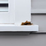 Repair Rotten Timber: Don't Let It Ruin Your Home's Value!