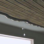 Protect Your Home from Mouldy Ceilings and Damaged Ceilings with a Roof Leak Inspection